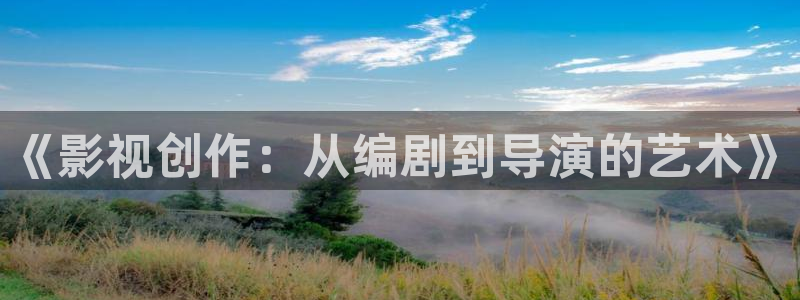 被窝私人影院：《影视创作：从编剧到导演的艺术》