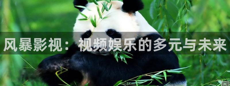 秋霞影院被窝影院在线观看：风暴影视：视频娱乐的多元与未来