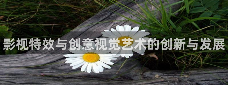 被窝影院午夜片：影视特效与创意视觉艺术的创新与发展
