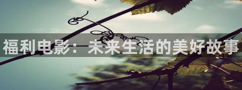 神马电影被窝影院第九电影网