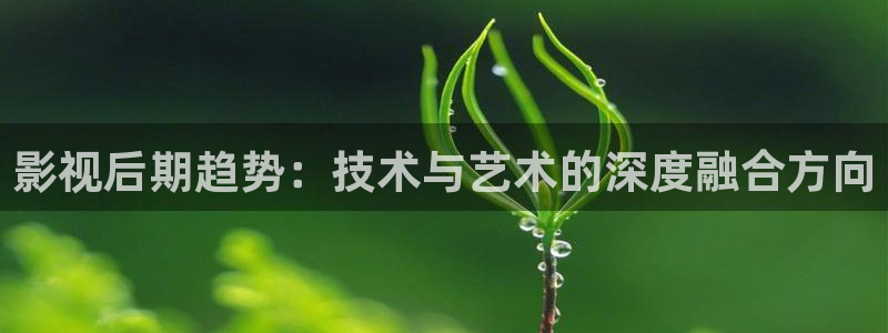 秋霞被窝电影网：影视后期趋势：技术与艺术的深度融合方向