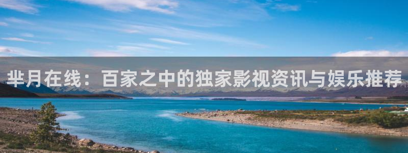 被窝理论电影网