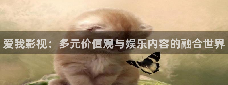 午夜极速影院被窝看片